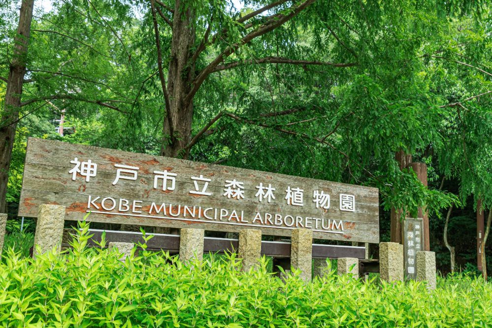 神戸市立森林植物園